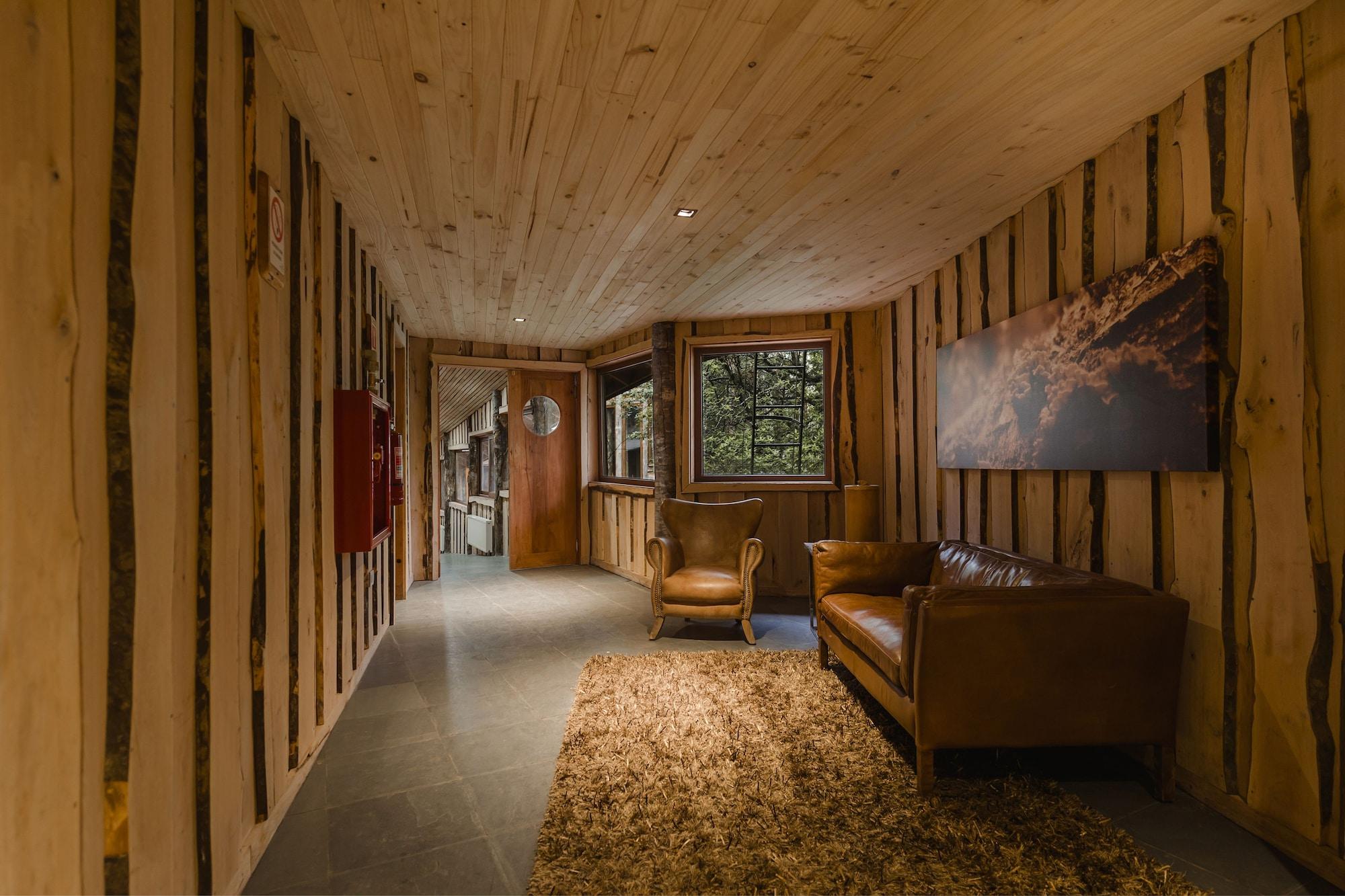Vista Lobby Huilo Huilo Reino Fungi
