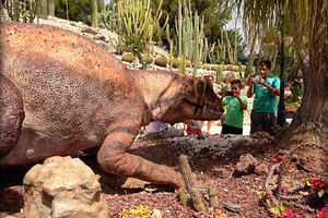 Actividad - Dinopark Algar