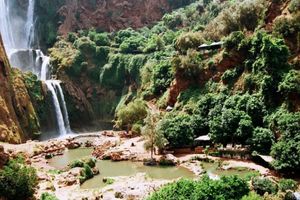 Actividad - Excursión a las cascadas de Ouzoud desde Marrakech
