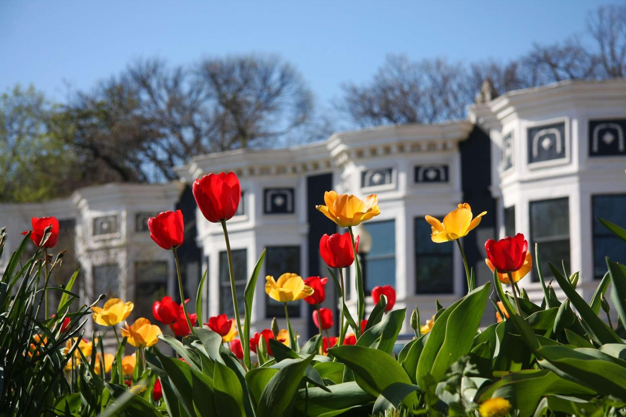 Vista Exterior Hyatt Place Washington DC/Georgetown/West End