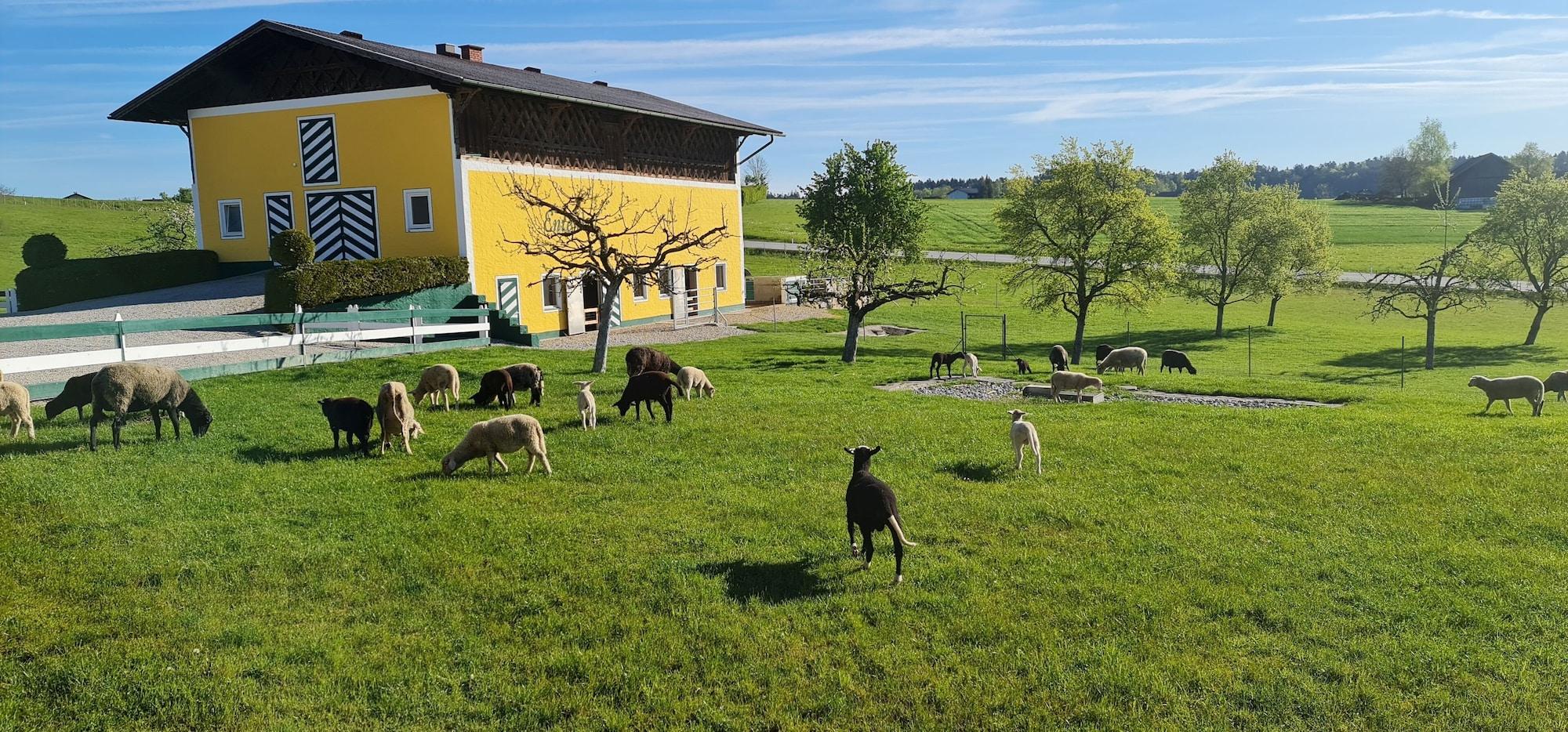 Vista Exterior Landgasthof Entenwirt
