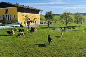 Alojamiento - Landgasthof Entenwirt