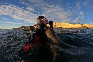 Actividad - Snorkeling con Lobos Marinos