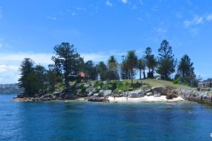 Actividad - Crucero por la bahía de Sídney con almuerzo