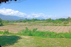 Alojamiento - Kuad Khon Thoe Pai Cottage