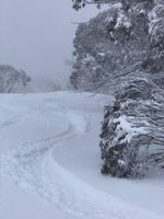 Alquiler Vacacional - Mountain Lodge - Pet friendly -snow/water sports, hiking, mountain/motor biking