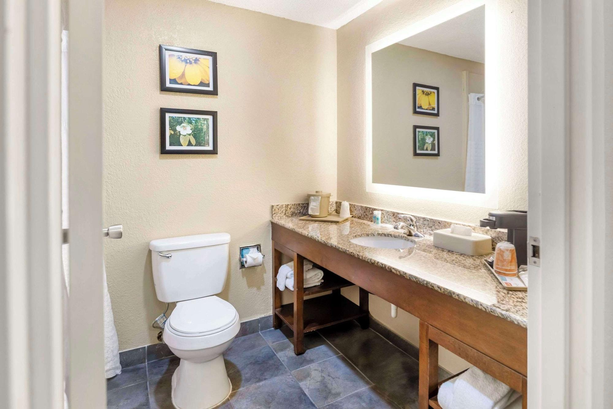 Habitación Comfort Inn Meridian - Bonita Lakes