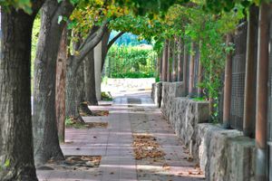 Paquete - Las Ardillas Cabañas y Suites