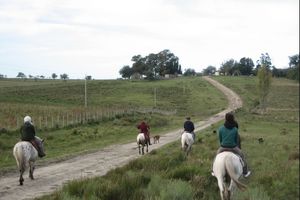 Alojamiento - Estancia Don Miguel