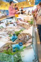 Alquiler Vacacional - Renovated apartment with sea view - Esplanade St Jean de Monts - Free Wifi