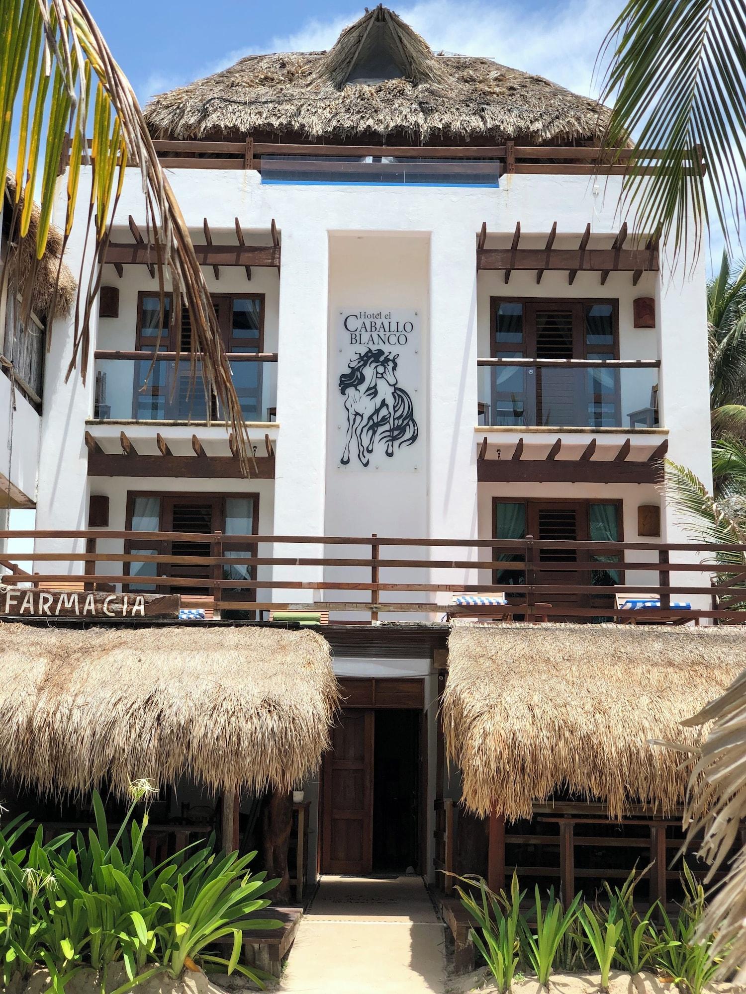 Varios Hotel El Caballo Blanco