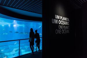 Actividad - Oceanario de Lisboa - Entrada