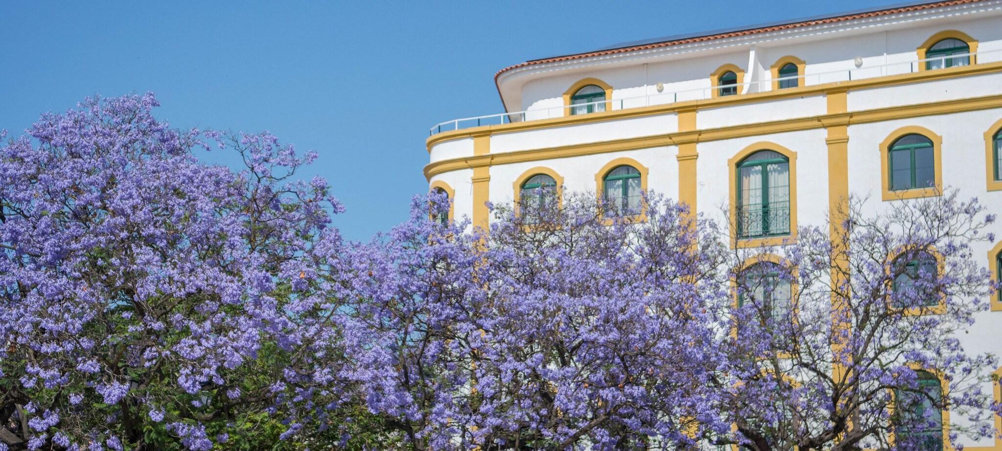 Vista Exterior Loule Jardim