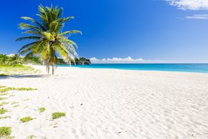 Paquete - Believe Caribbean Apartments