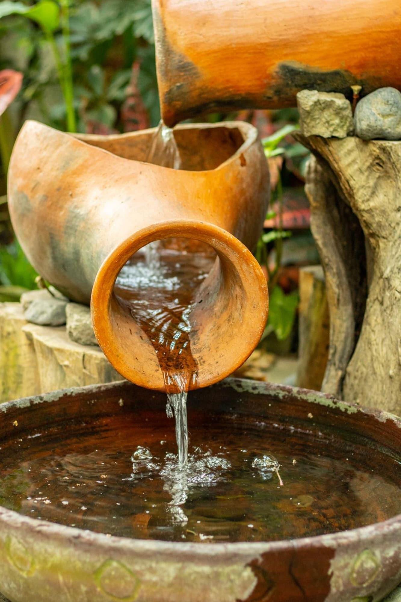 Restaurant Árbol de Fuego Eco-hotel, a green experience in the city