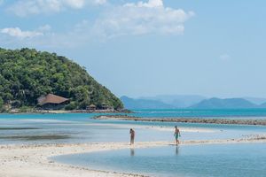 Actividad - Excursión de un día completo a Koh Samui: Islas Coral y Pigs con buceo de superficie
