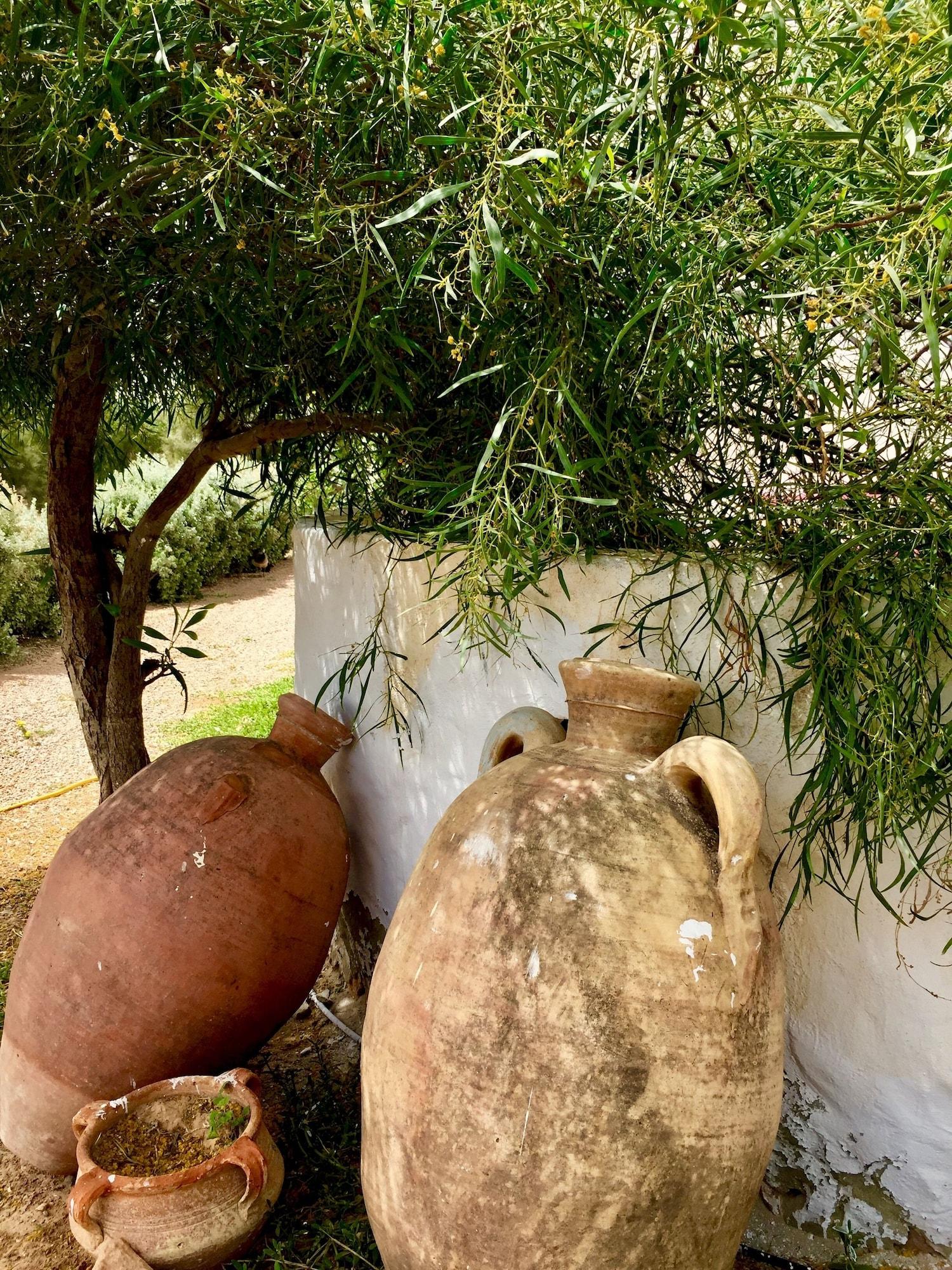 Vista Exterior Domaine El-Manar