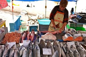 Actividad - Recorrido panorámico por Malta en autobús hop on – hop off – Ruta sur