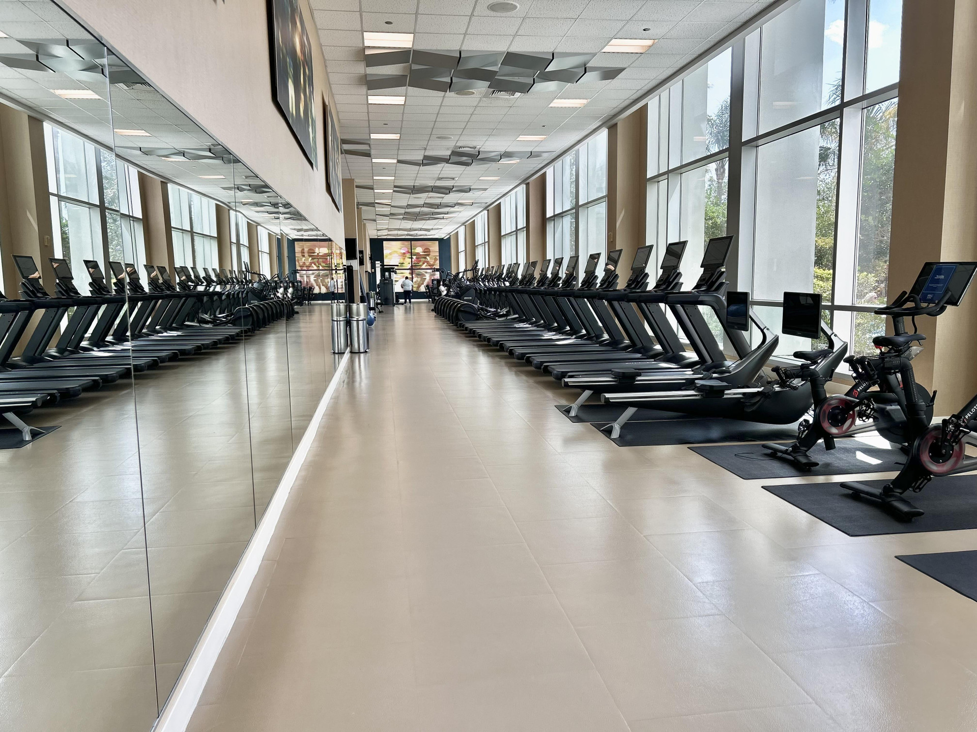 Gimnasio Hilton Orlando