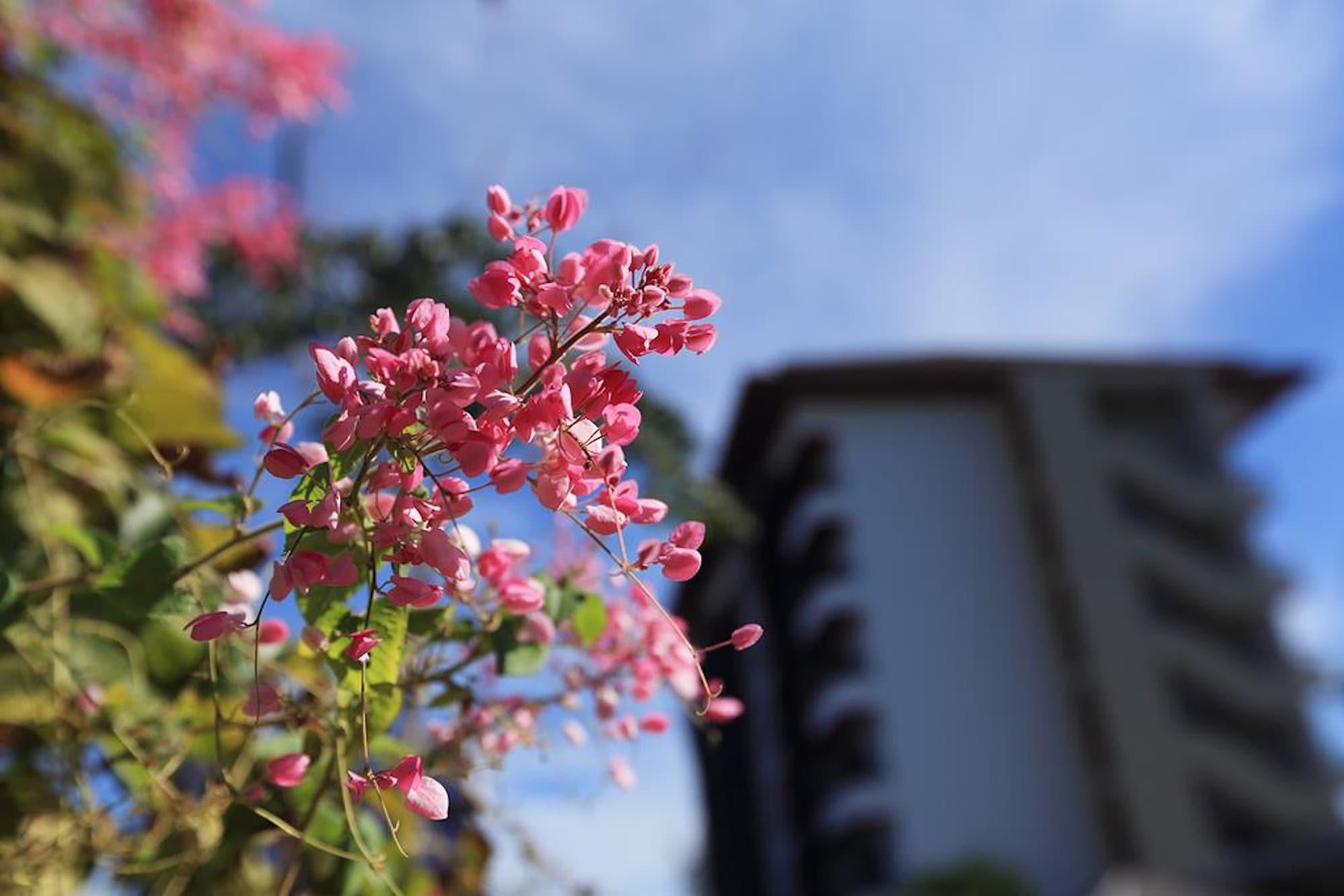 Vista Exterior The Restique Apartment