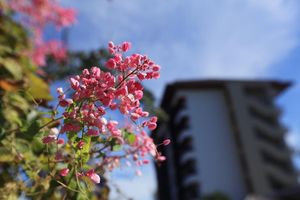 Alojamiento - The Restique Apartment