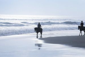 Alquiler Vacacional - La Villa Bella su Hacienda, Punta El Custodio, Platanitos, Nayarit, MX 63511