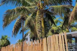 Alojamiento - Serenity Terraces Beach Hotel-Kokrobite