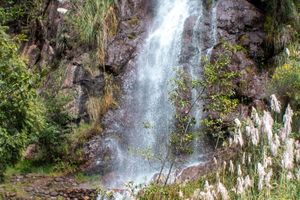 Actividad - Excursión a los baños termales de Collpa y catarata Paqchaccucha