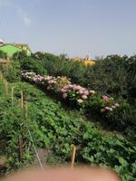 Alquiler Vacacional - Sardengna authentic between sea hill and lake