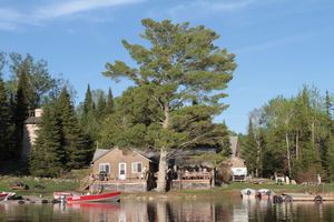 Alojamiento - Slippery Winds Wilderness Resort