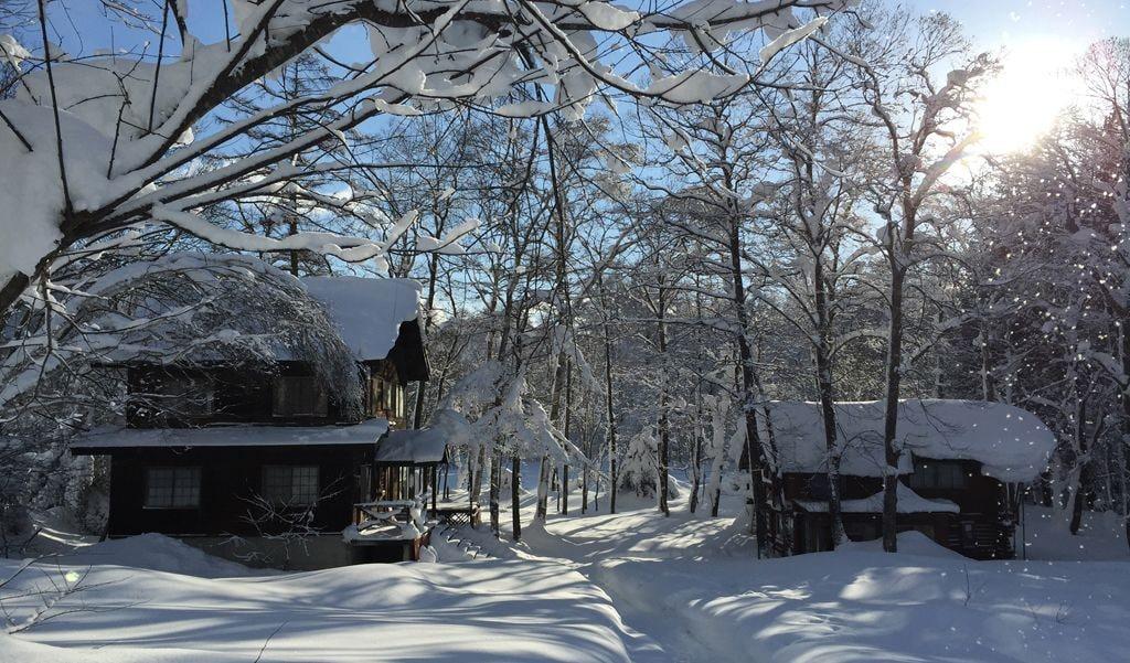 Varios share&guesthouse HAKUBA SHARE - Hostel