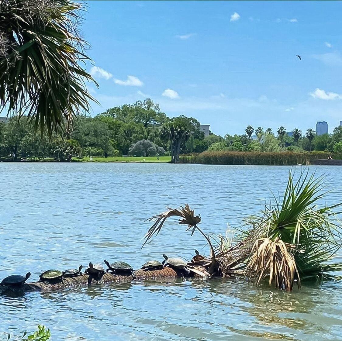 Instalaciones Recreativas Royal Barracks Guest House