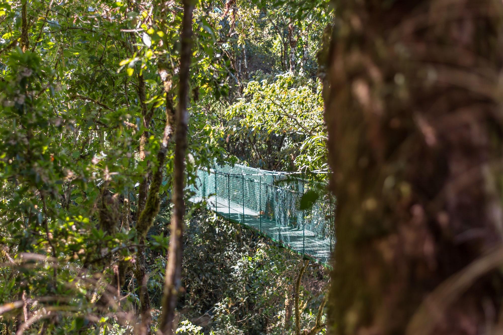 Instalaciones Recreativas Sueños del Bosque