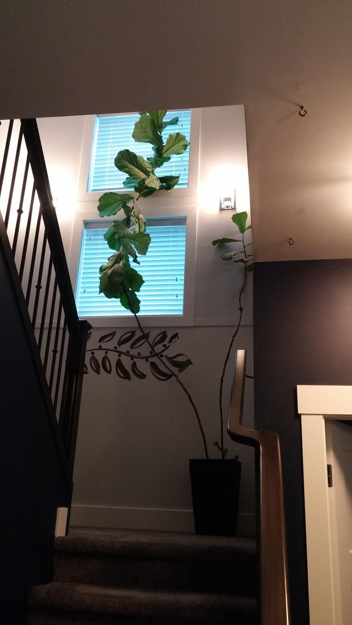 Varios Seagrass Guesthouse
