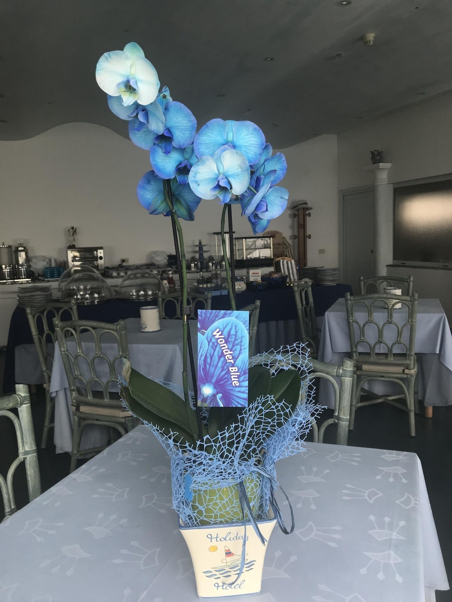 Restaurant Hotel Holiday