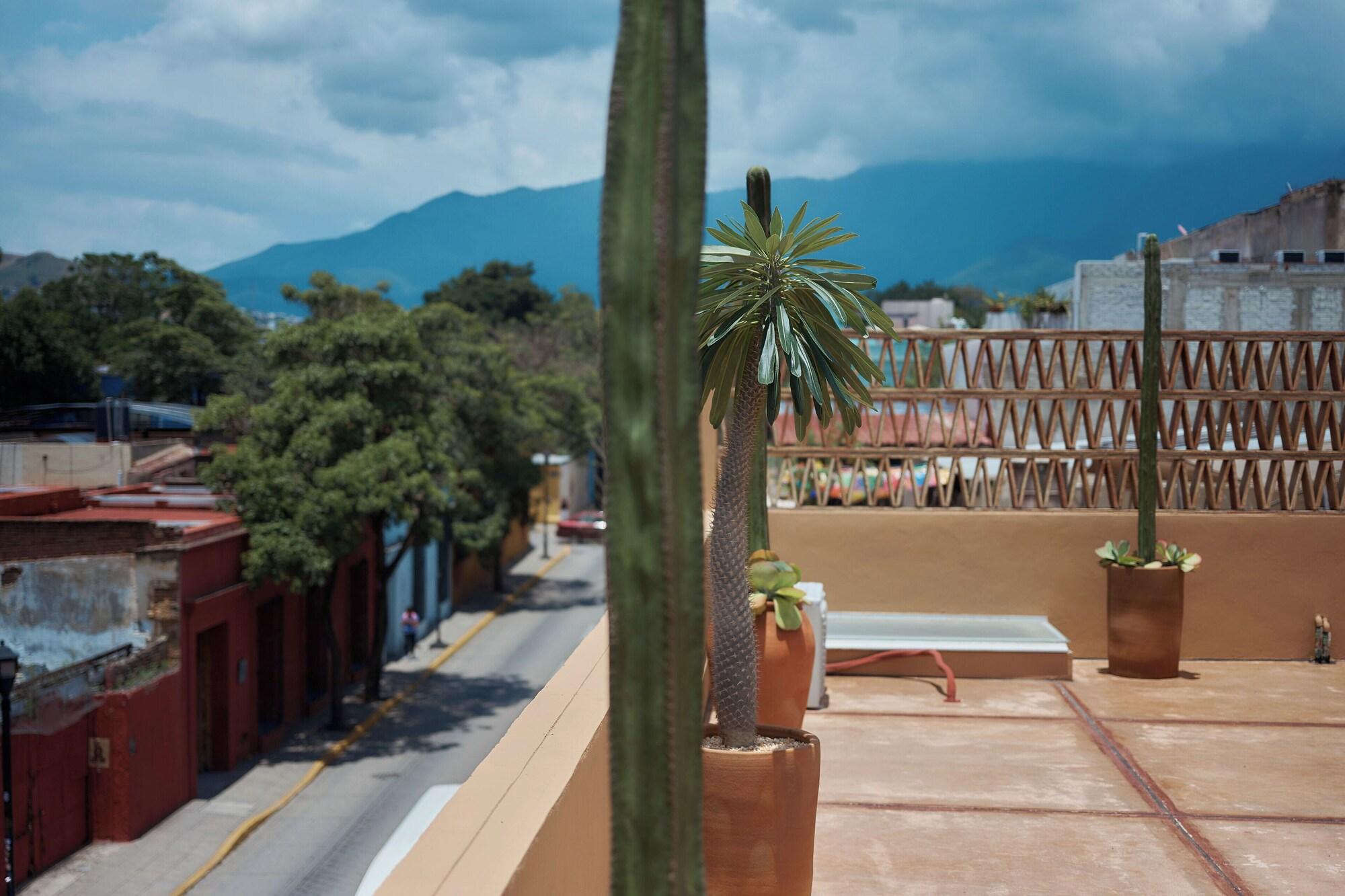 Comodidades del Alojamiento Lar Syrah