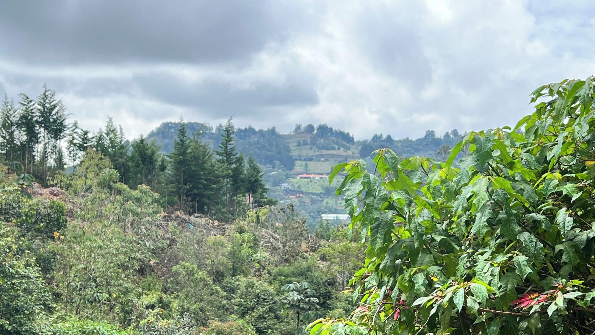 Equipamiento de Habitación Autenthico Sajonia Hotel Aeropuerto