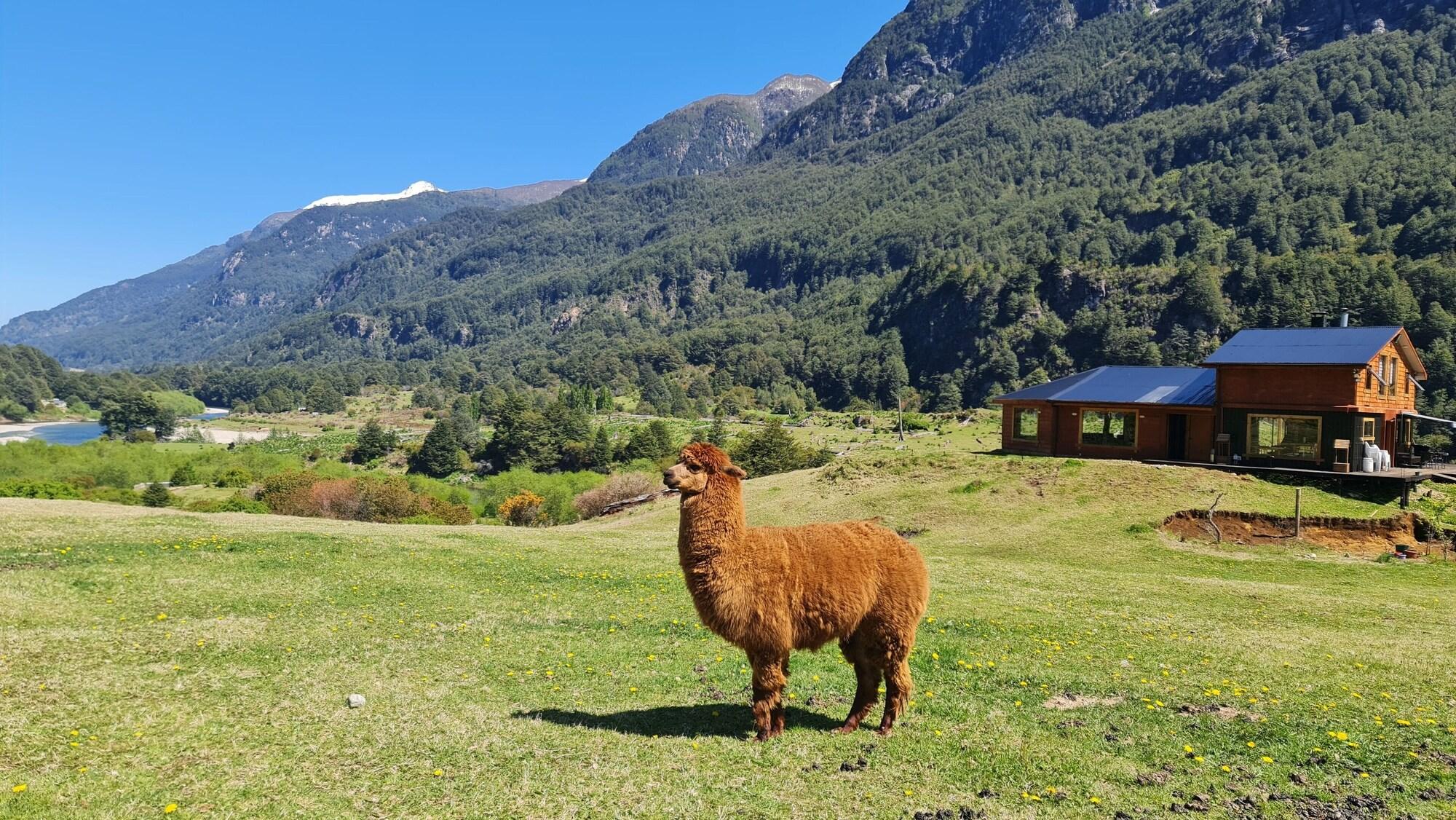 Equipamiento de Habitación Confluencia  Rio emperador