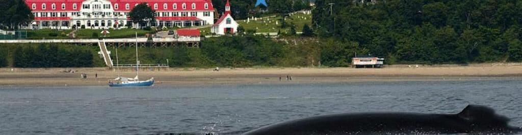 Playa La Galouine Auberge & Restaurant