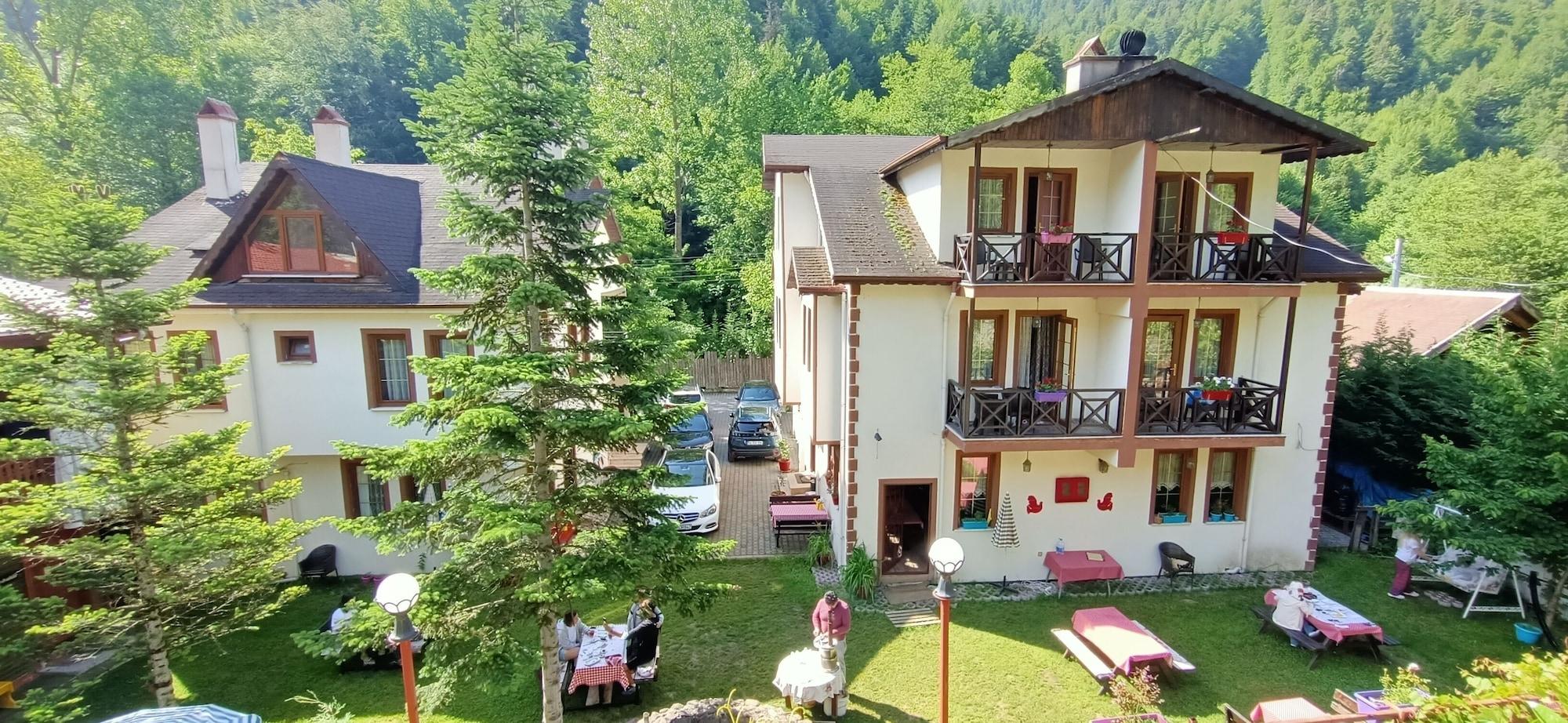 Comodidades del Alojamiento Abant Dort Mevsim Konagi