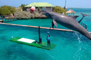 Actividad - Full day Cartagena de Indias