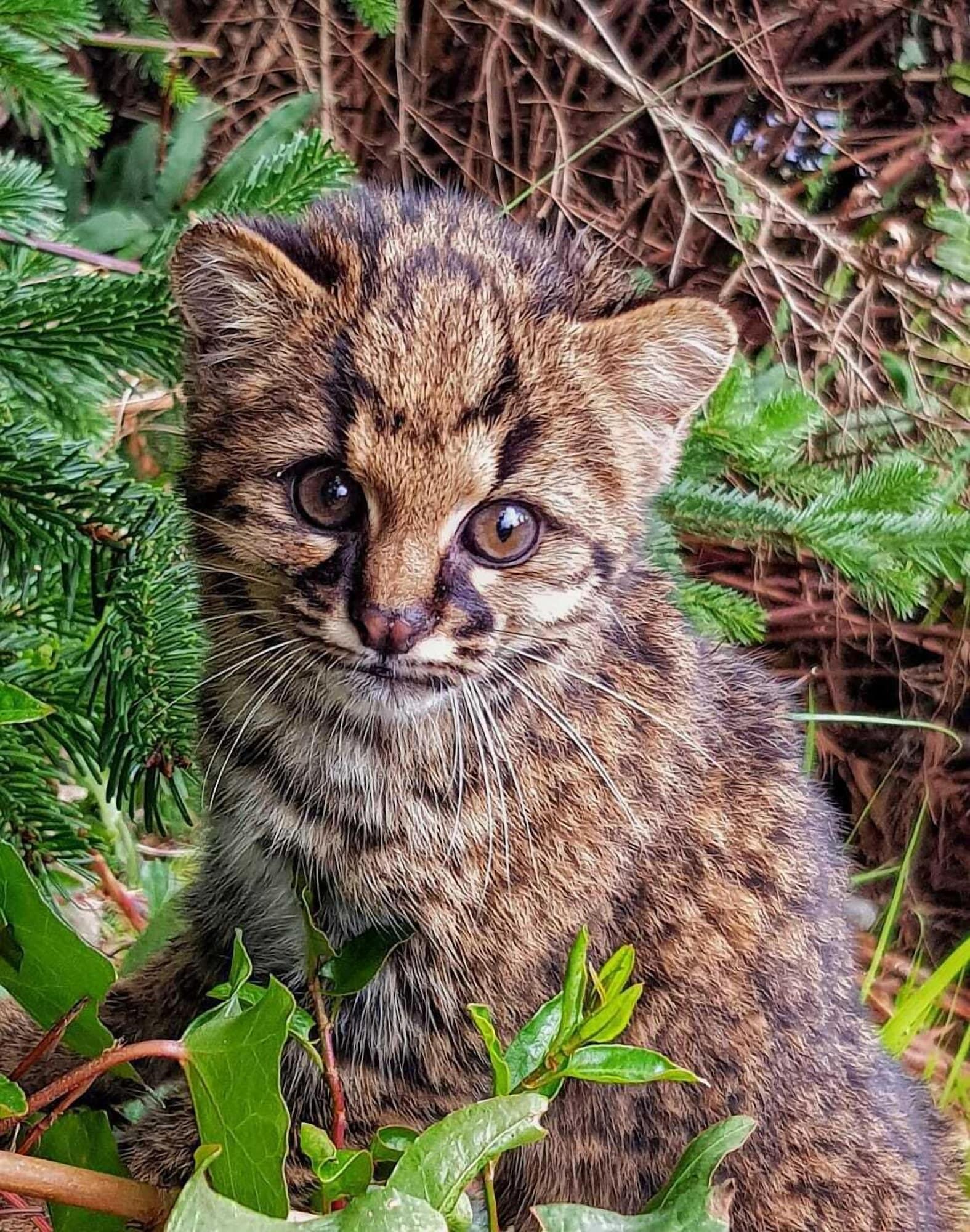 Instalaciones Recreativas Hotel Natura Patagonia
