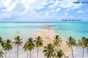 Lup Beach Club: Passeio Ilha de Santo Aleixo + Day Use (Com transfer) -  Porto de Galinhas