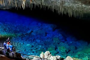 Actividad - Paquete Bonito y Pantanal 8 días