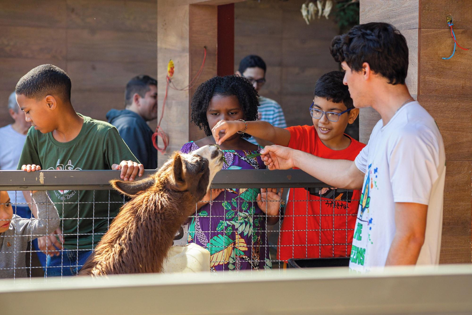 Instalaciones Recreativas Hotel Vila Verde