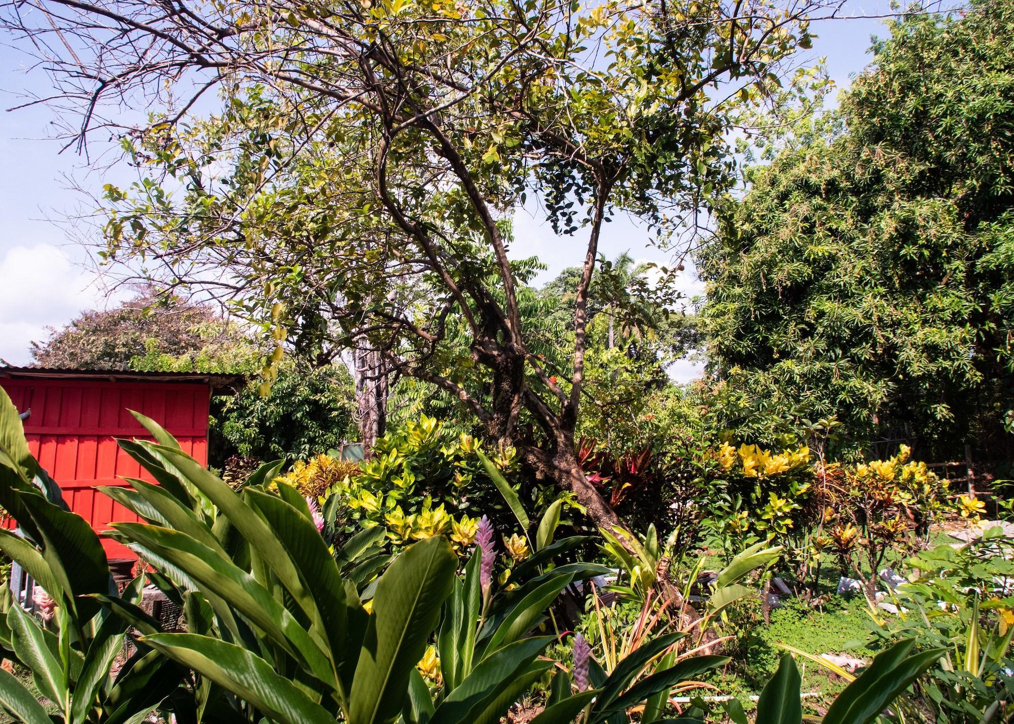 Vista Exterior Hotel Vive Uvita