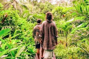 Alojamiento - La Loma Jungle Lodge And Chocolate Farm