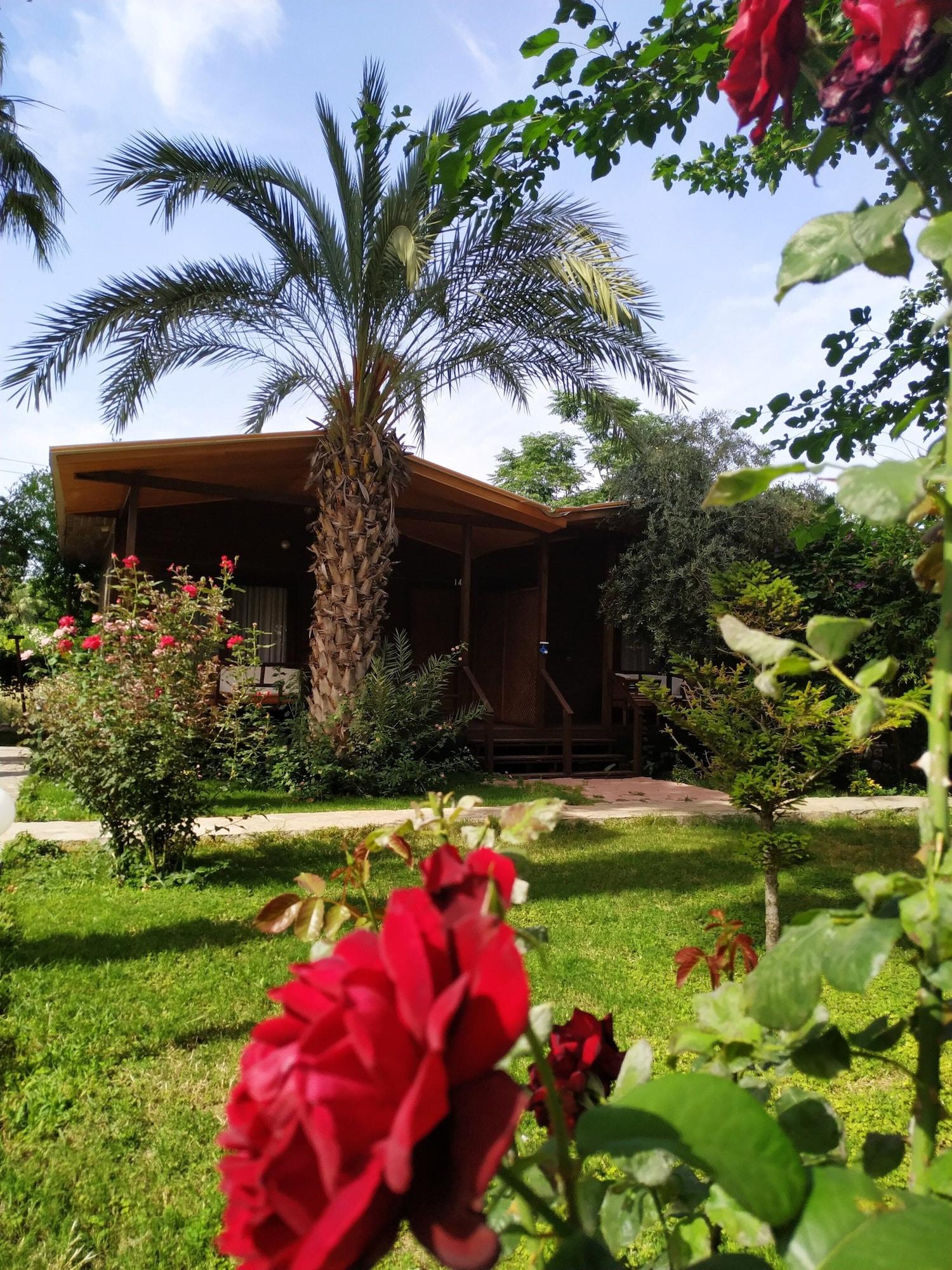 Equipamiento de Habitación Olympos Yavuz Hotel