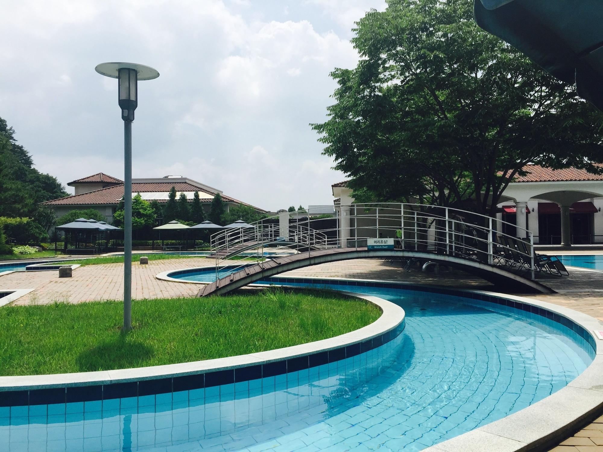 Vista Piscina Damyang Hotel