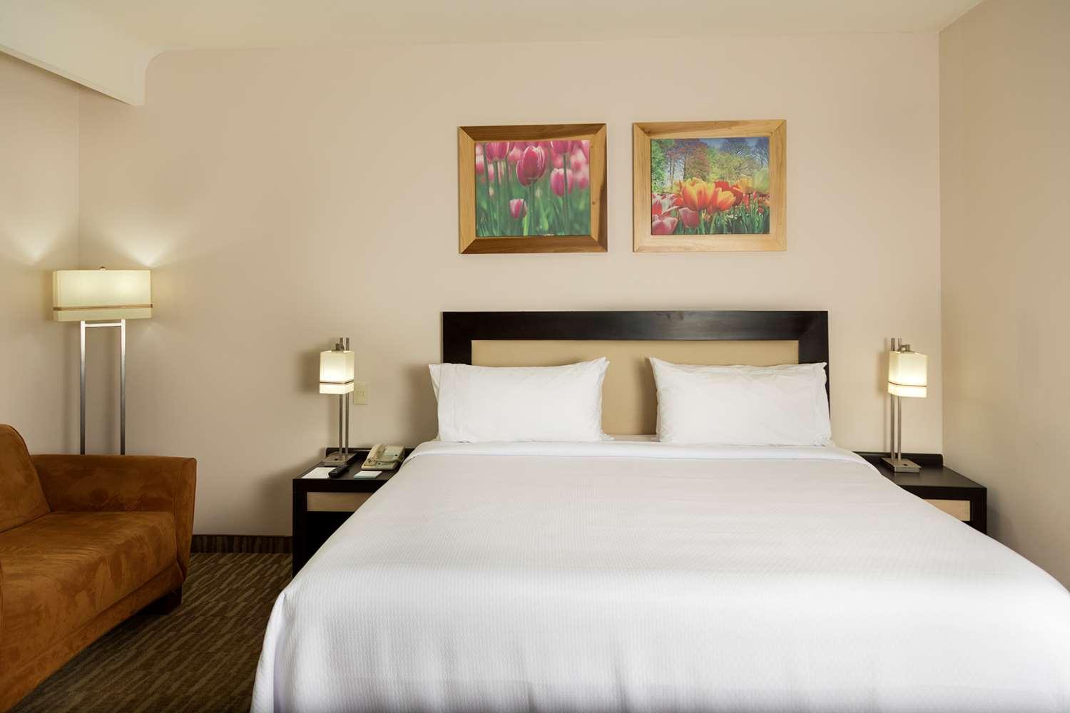 Habitación Excellence Express San Juan del Río